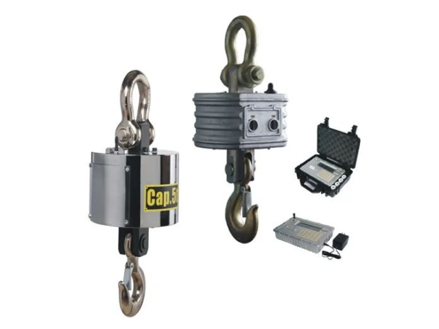 ВК ЗЕВС IV - 30000 РК Весы крановые