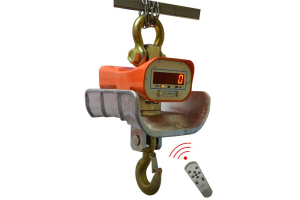 XZH 10т Весы крановые