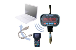 ВК ЗЕВС III - 3000 РПУ Весы крановые