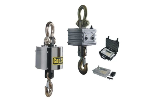 ВК ЗЕВС IV - 30000 РК Весы крановые