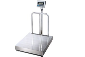 CAS DBII 300 (500х600) Весы товарные напольные