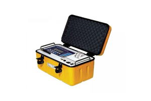 весы автомобильные Индикатор RW2601P (для платформ RW-P  Статическое взвешивание)