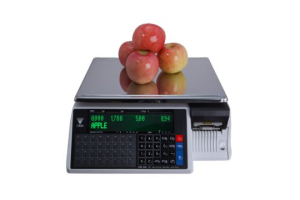 Весы торговые с чекопечатью DIGI SM-100 B CS (без стойки)